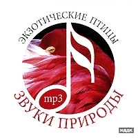 Звуки природы Экзотические птицы (mp3) артикул 1542b.